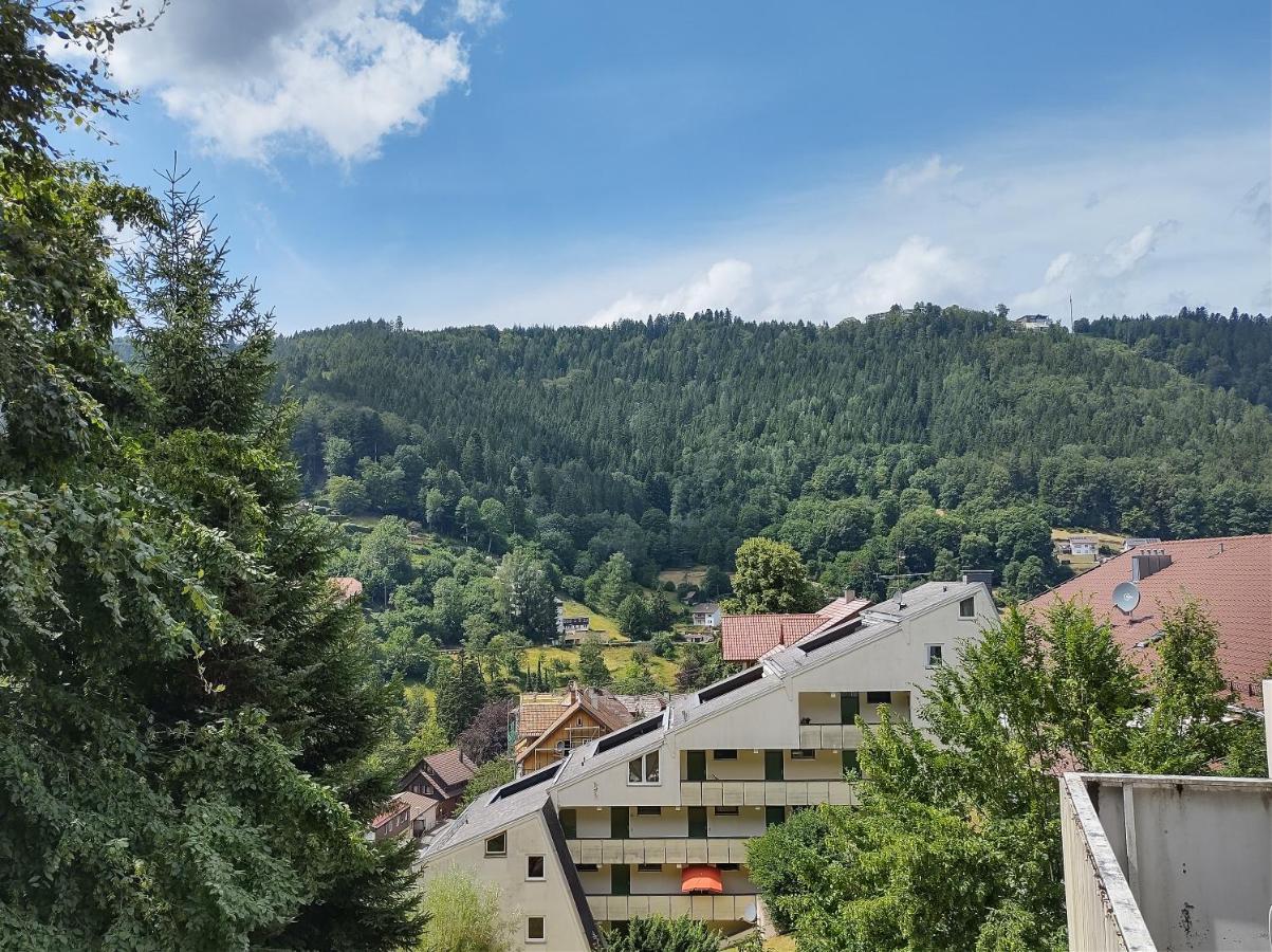 Ein-Zimmer Apartment Mit Aussicht Bad Wildbad Dış mekan fotoğraf